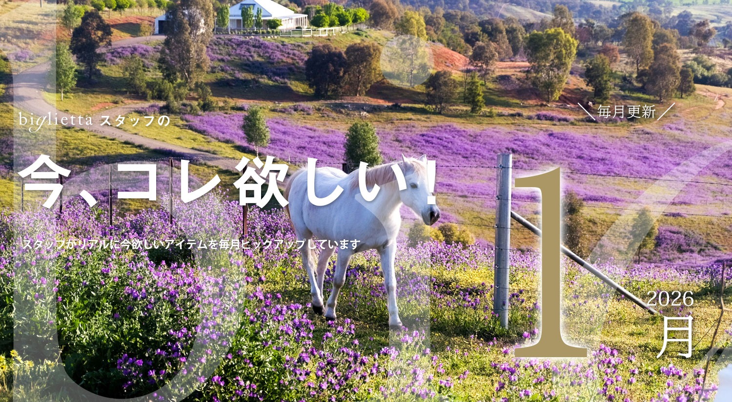 レディースセレクトショップ biglietta(ビリエッタ) オンラインショップ