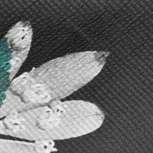 christian wijnantsiNX` Cicj<br> SOBAT {^jJXJ[g 23252002121