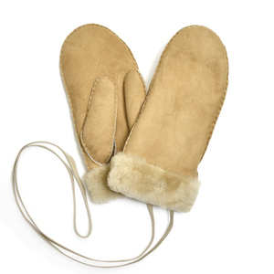 ALPOiA|j<br>XG[hO[u 28752000039