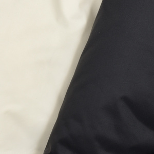 Baconix[RjBACPIGIU570 _EWPbg 24052002182